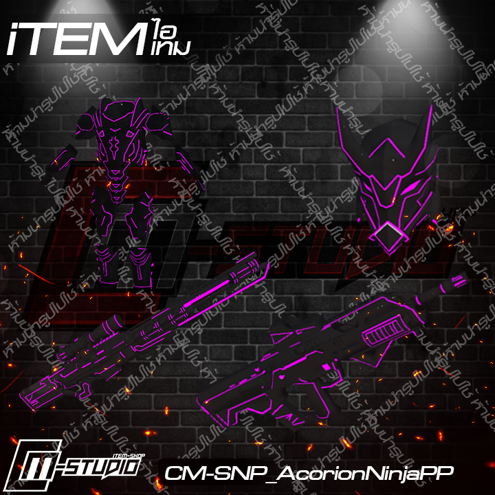 MFSNP_AcorionNinjaPP