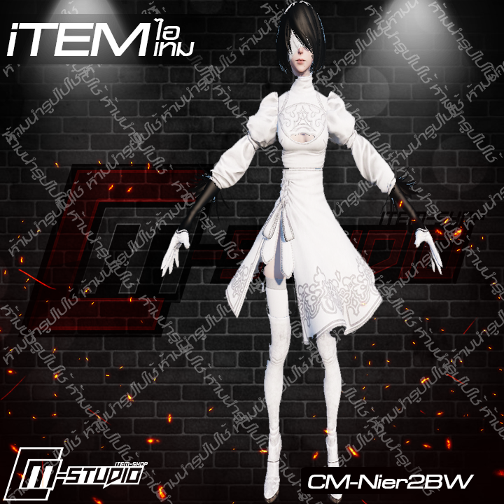 MFNier2BW