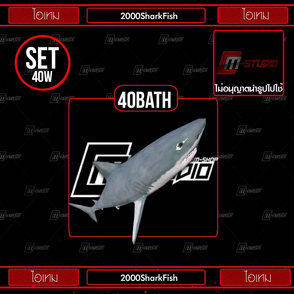 2000SharkFish