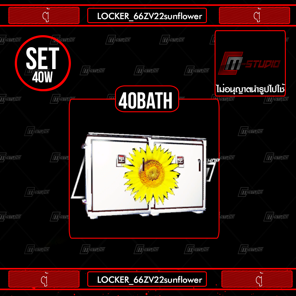 LOCKER_66ZV22sunflower
