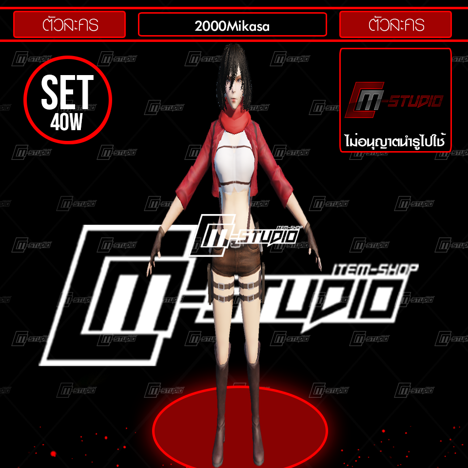 2000Mikasa
