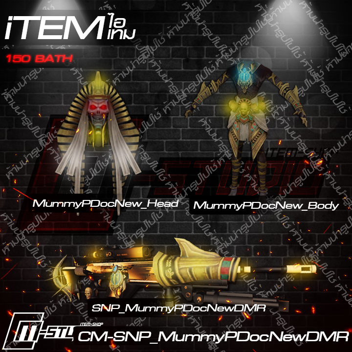 MFSNP_MummyPDocNewDMR