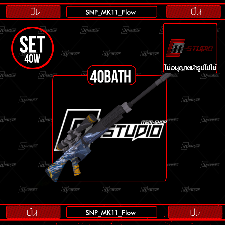 SNP_MK11_Flow