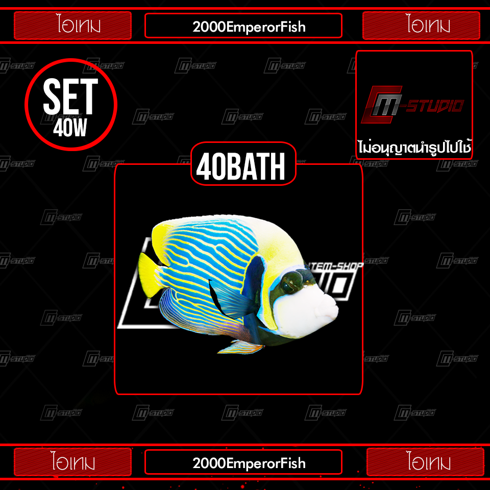 2000EmperorFish