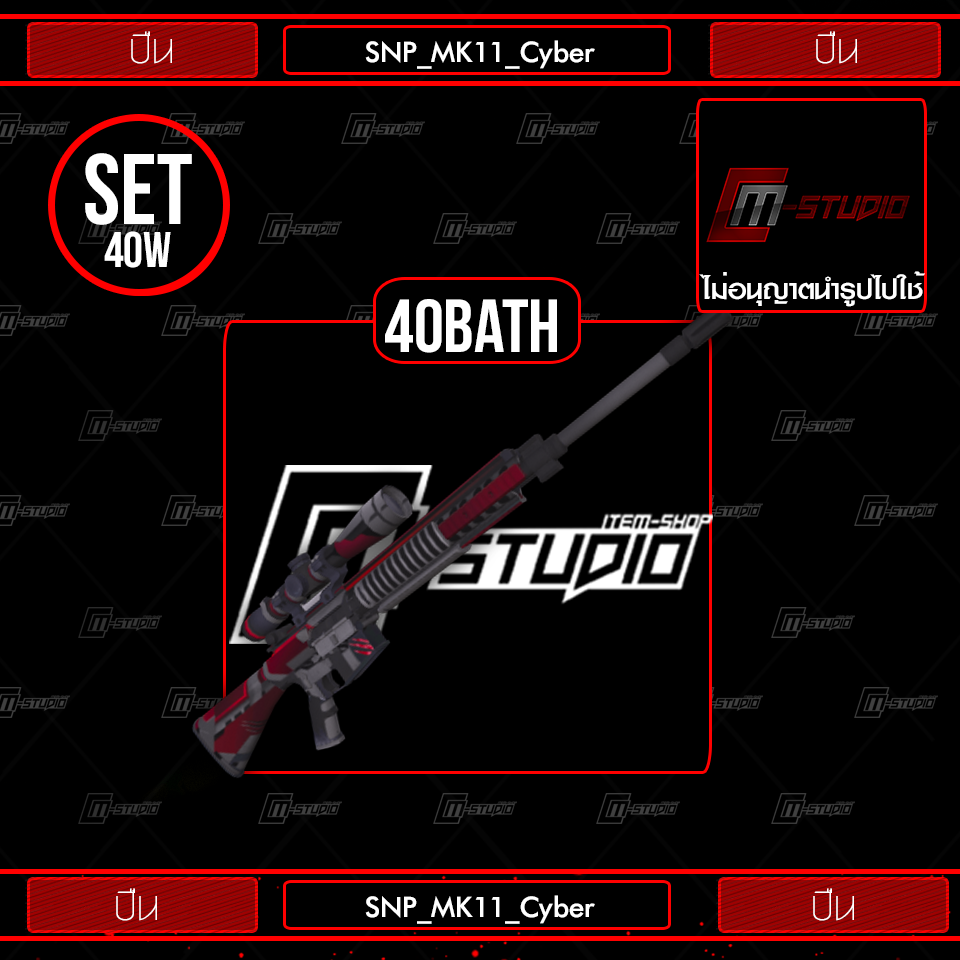 SNP_MK11_Cyber